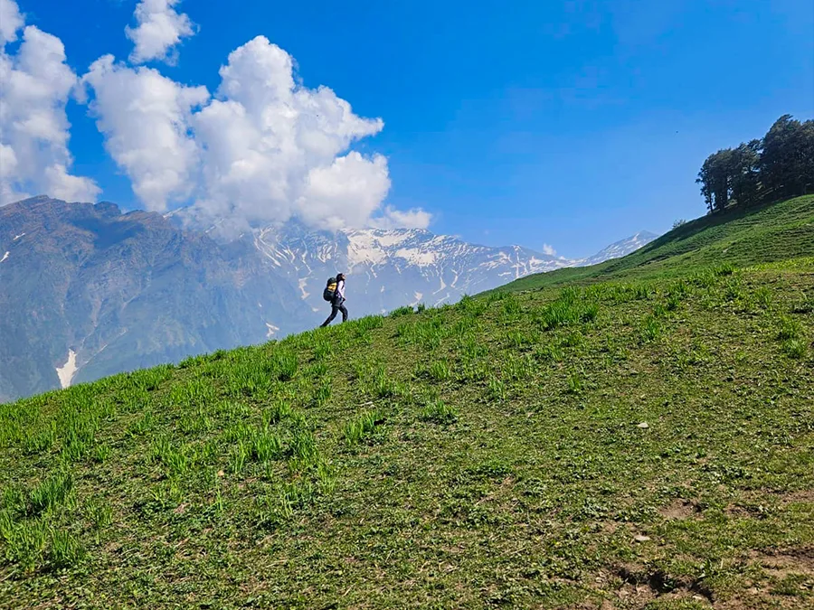 Trekkers walking through lush green alpine meadows with snow-capped peaks en route to Bhrigu Lake Trek near Manali