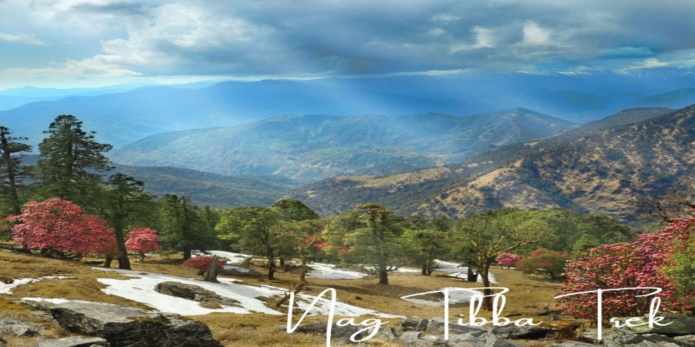 Nag Tibba Trek in winter with snow-covered trail and panoramic mountain views