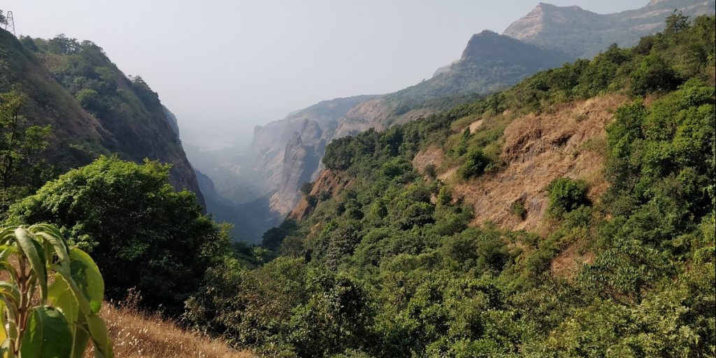 Dense Andharban forest trail soaked in monsoon mist
