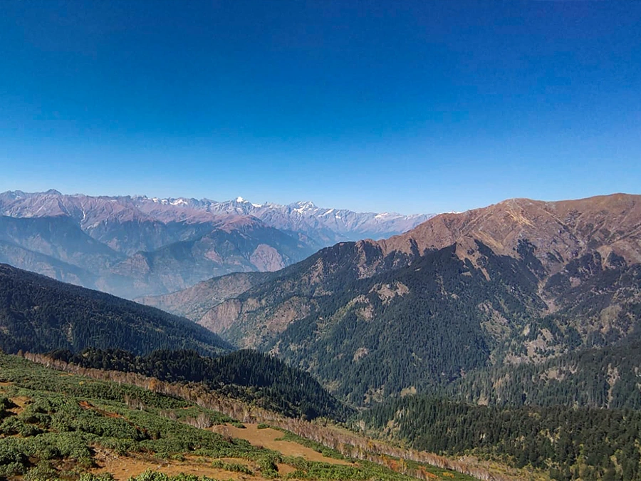 Scenic view of Manali town surrounded by snow-capped Himalayas and pine forests