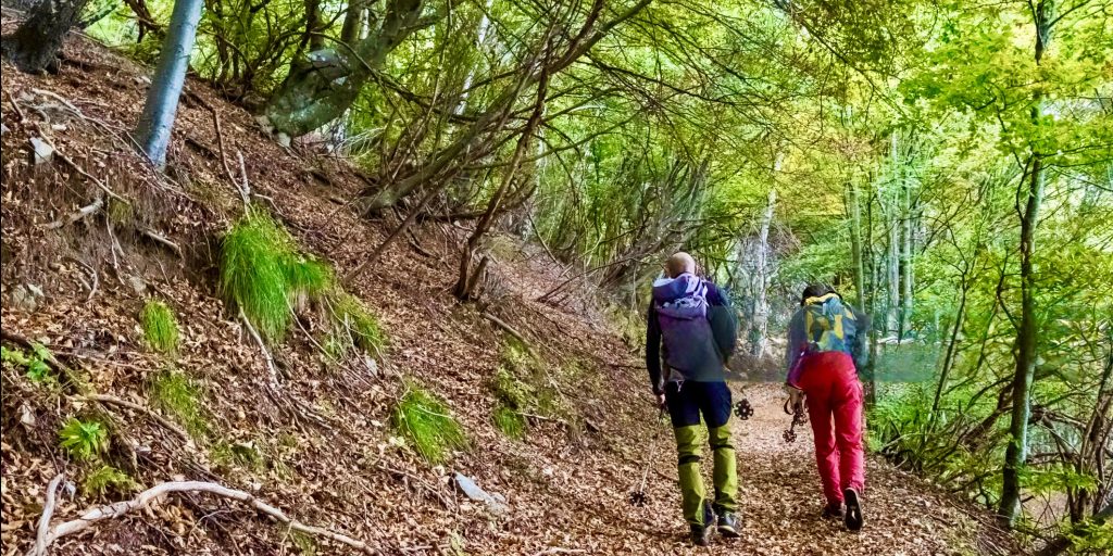 Trekkers crossing Hampta Pass with monsoon clouds and meadows