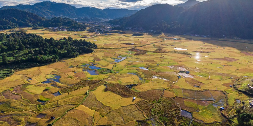 Top 10 Adventure Activities to Try in Sikkim