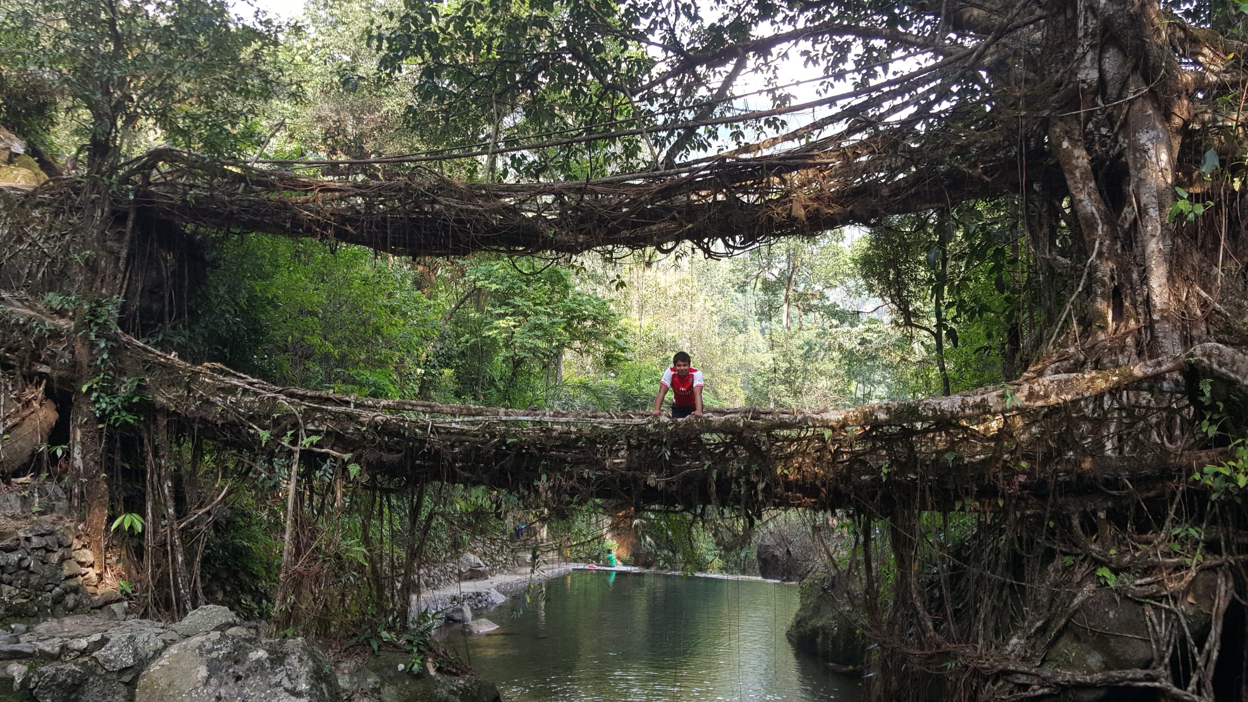 Things to Do in Meghalaya for Adventure Lovers