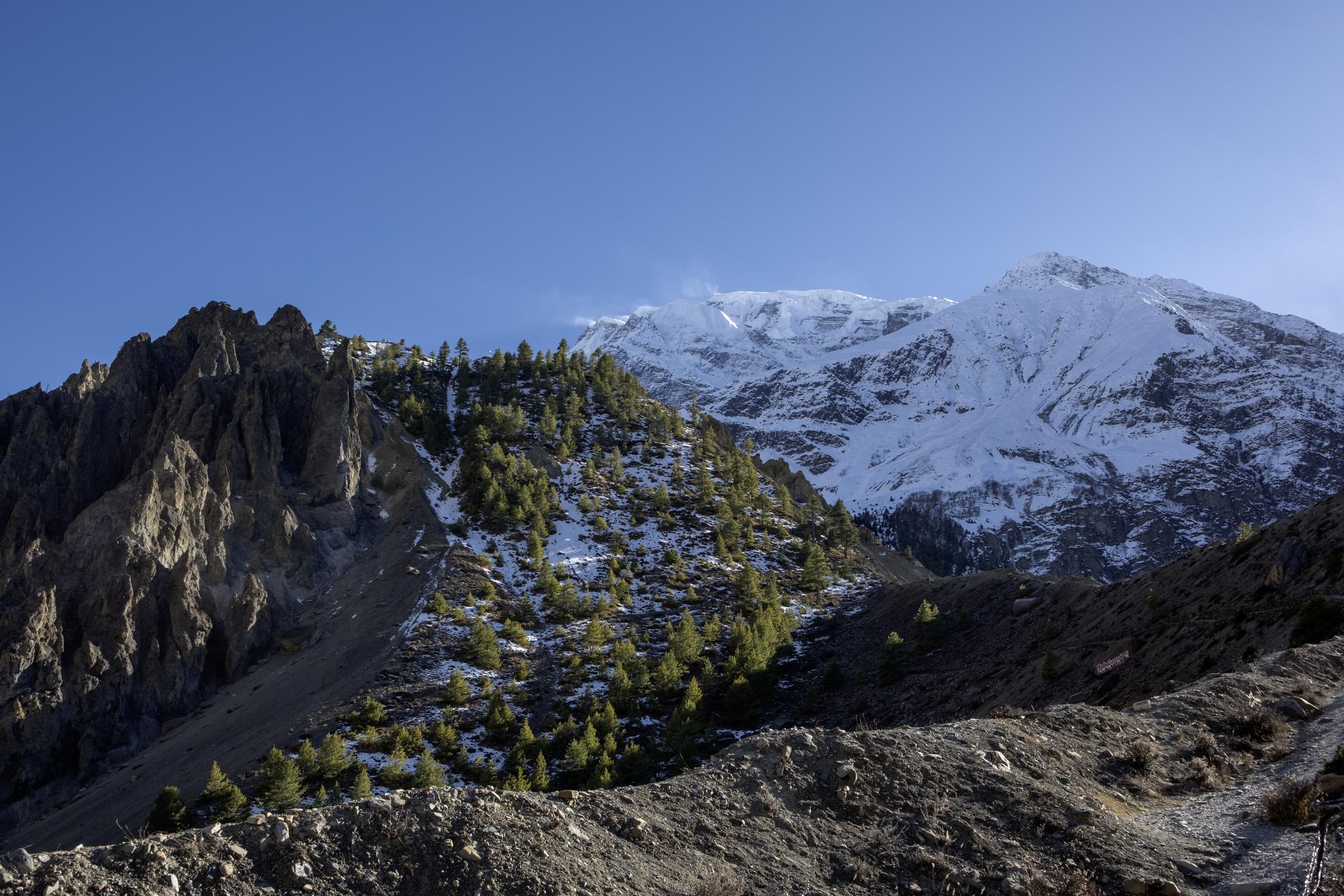 Why March Is the Perfect Month for Himalayan Trekking