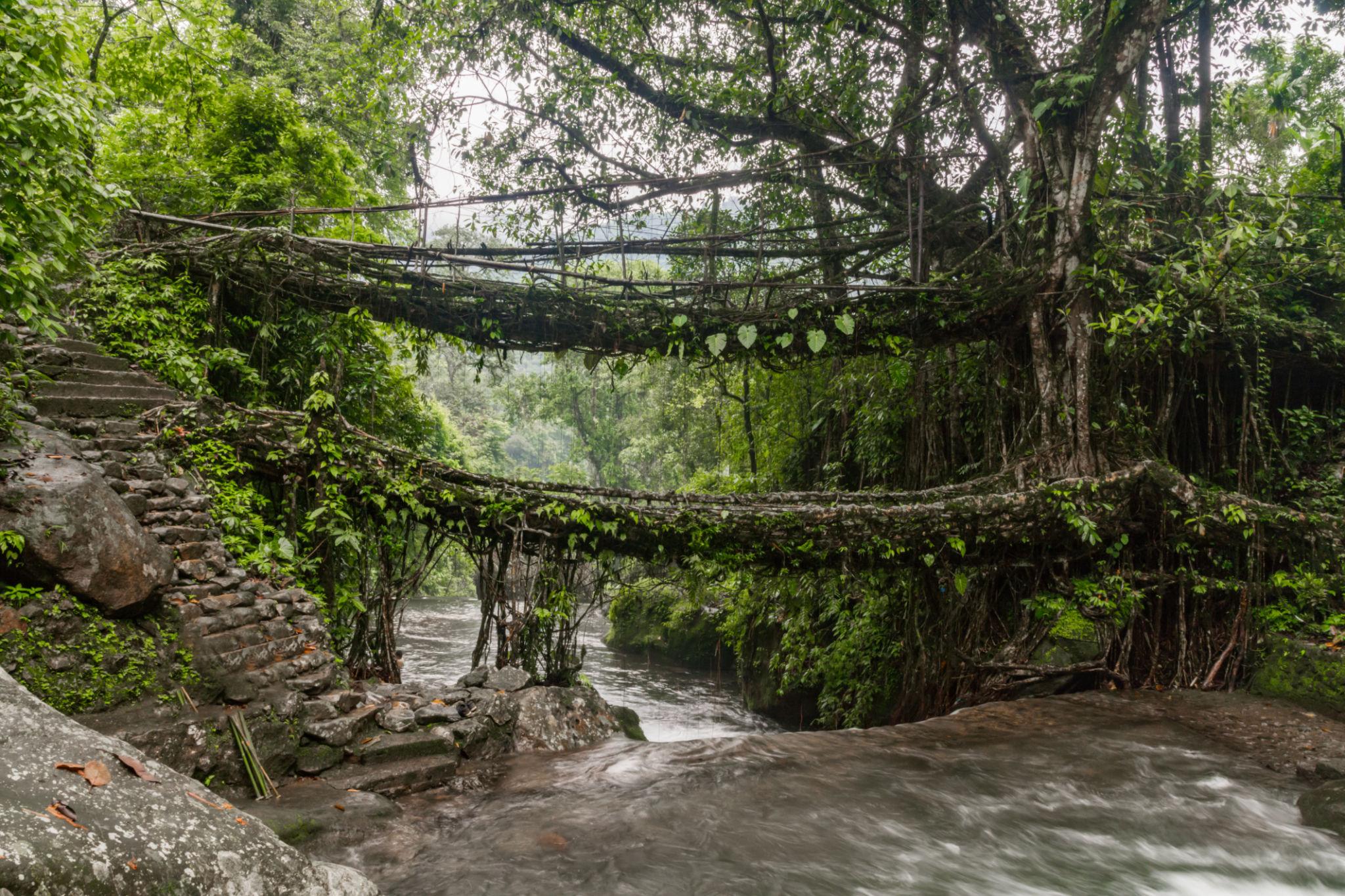 Beyond Dawki: Hidden Adventure Experiences in Meghalaya That Most Tourists Miss